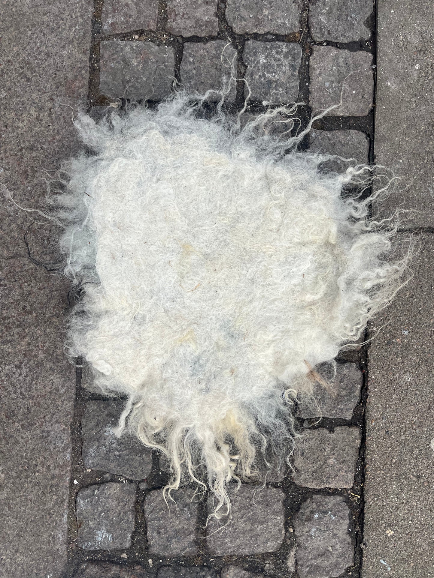 Vådfiltet siddepude