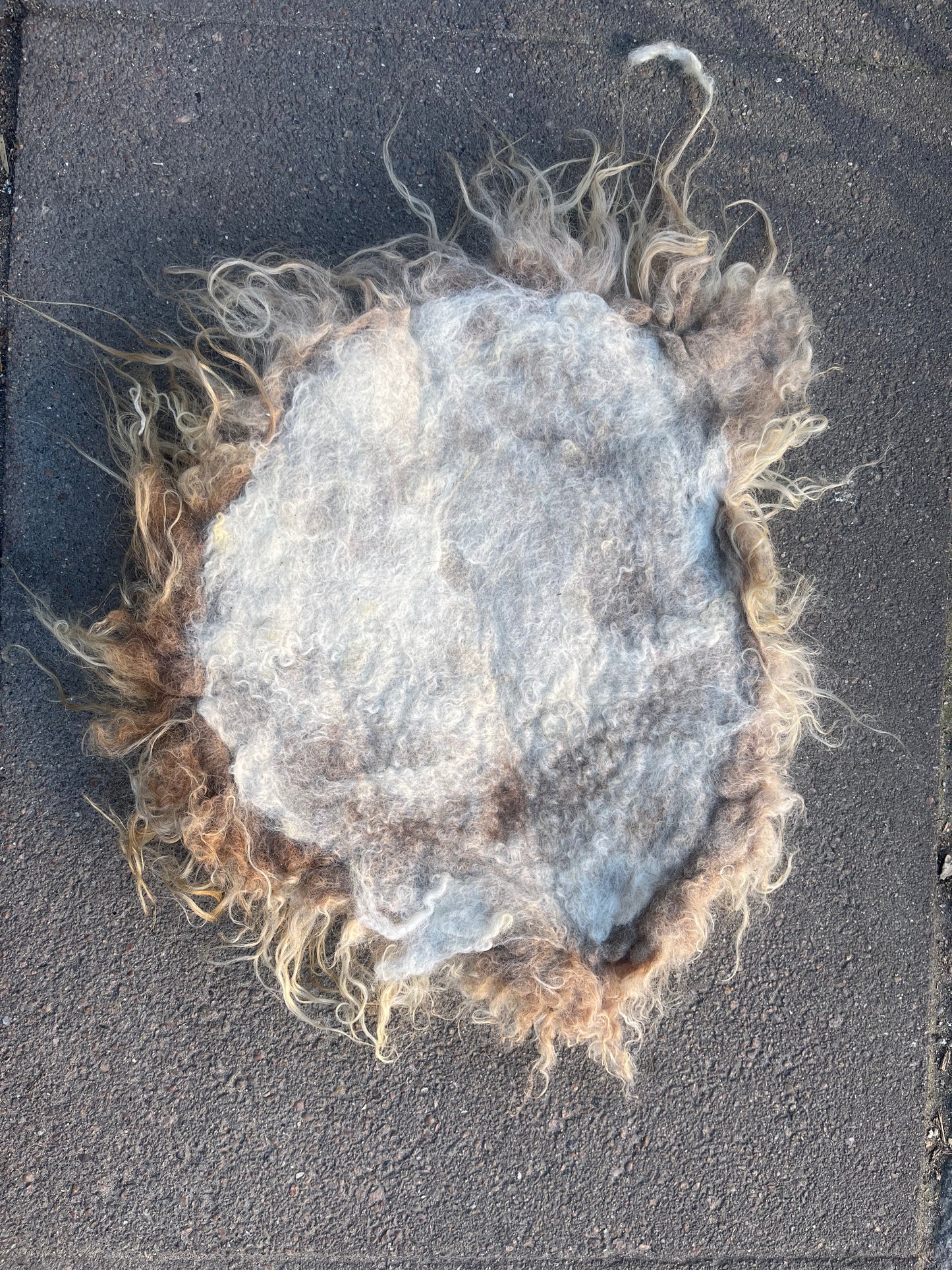 Wet-felted seat cushion