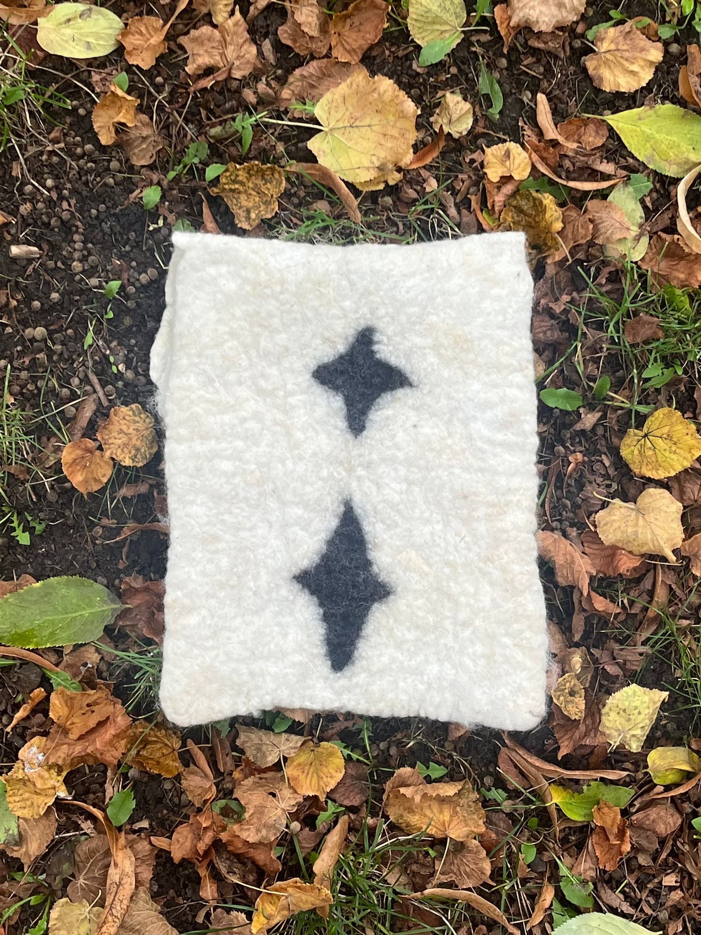 Vådfiltet computer cover