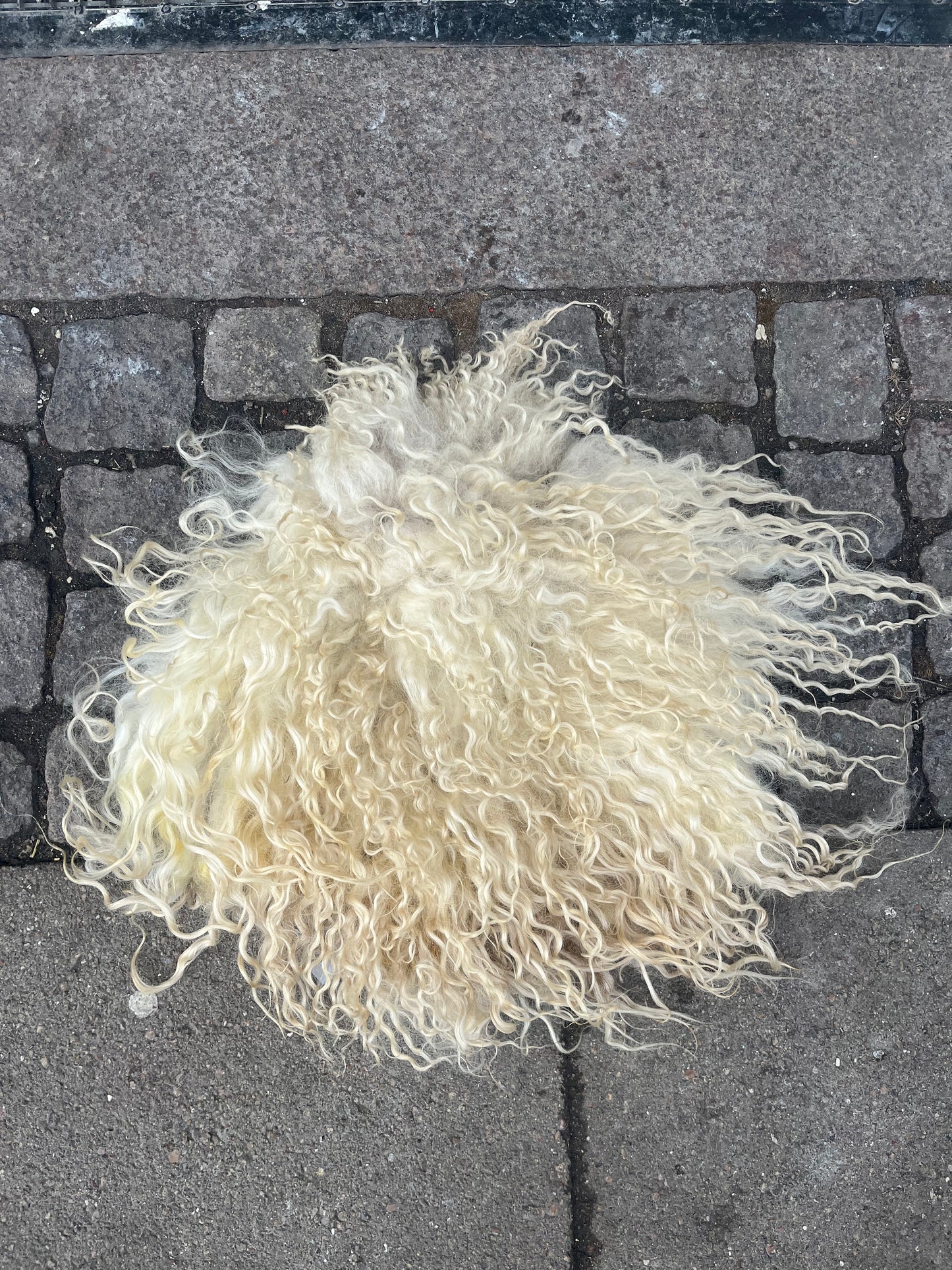 Vådfiltet siddepude