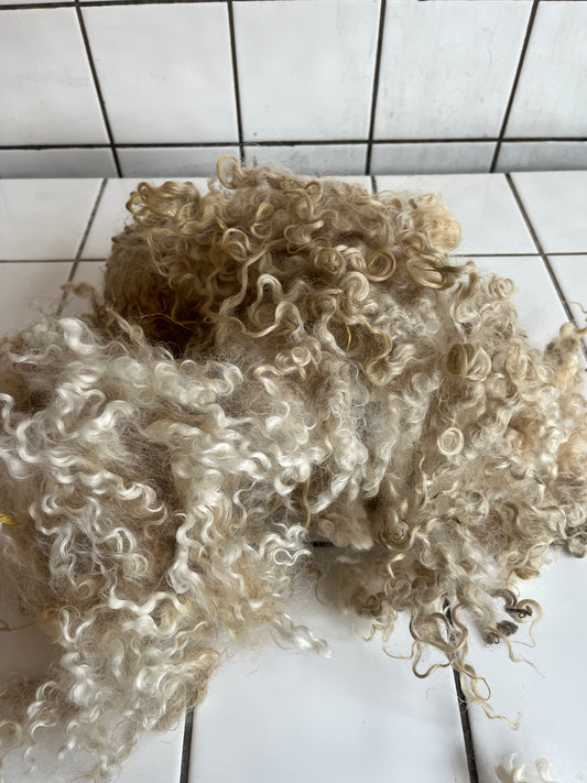 hvid wensleydale krøller