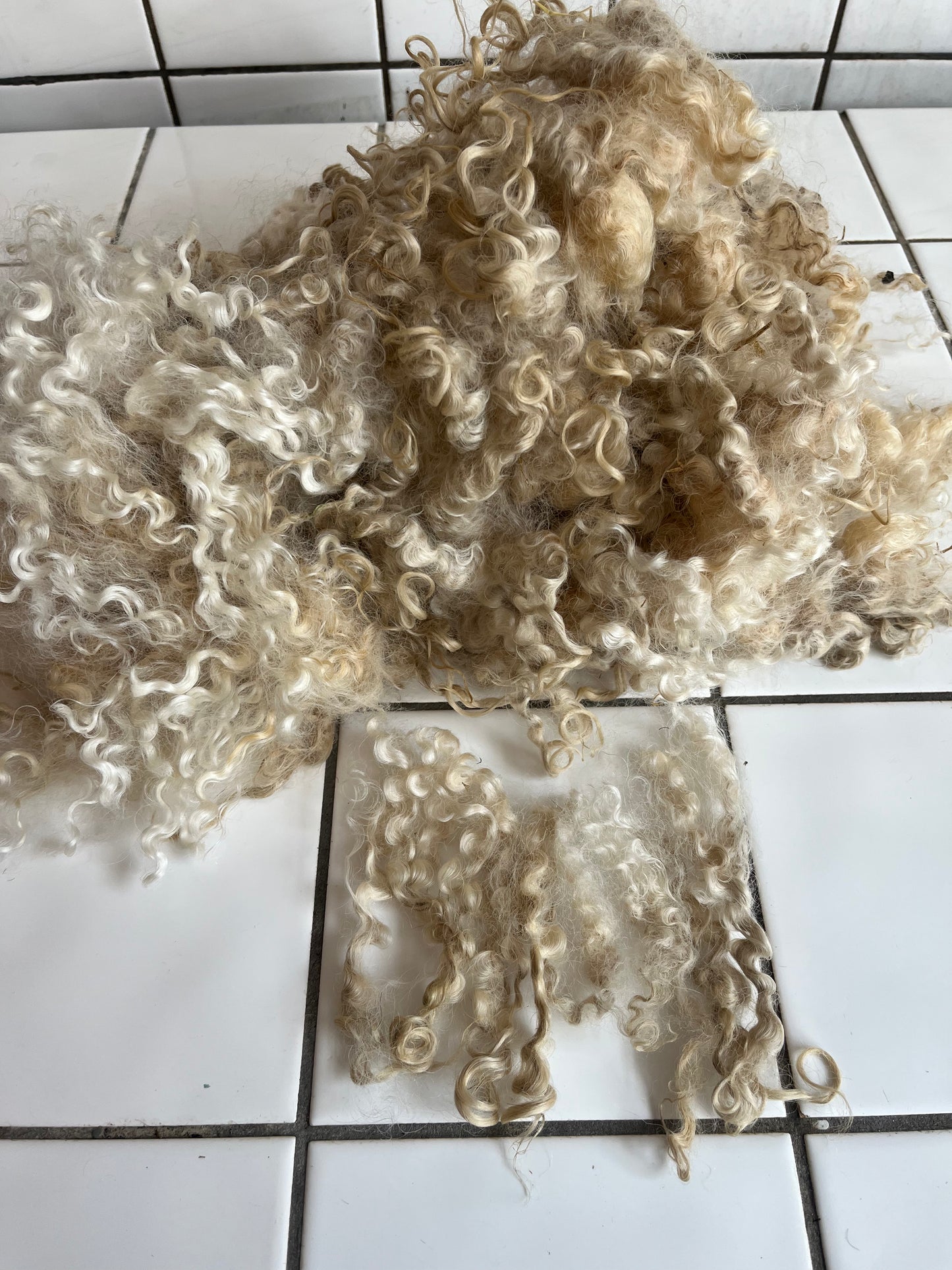 hvid wensleydale krøller